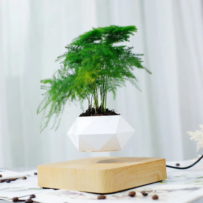 Levitating Air Bonsai Pot Rotation Flower Pot Planters Magnetic Suspension