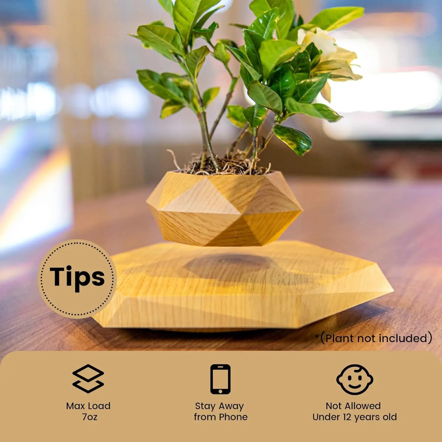 Magnetic Floating Plant Pot for Small Plants