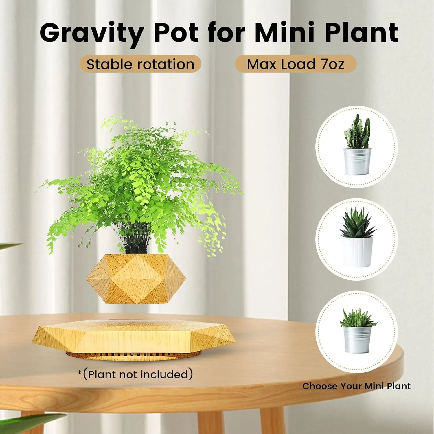 Magnetic Floating Plant Pot for Small Plants