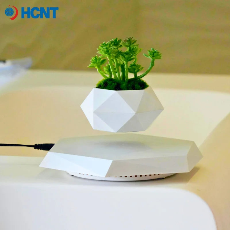 Levitating Planter for Bonsai Succulents Air Plants Floating Magnetic Display for Home