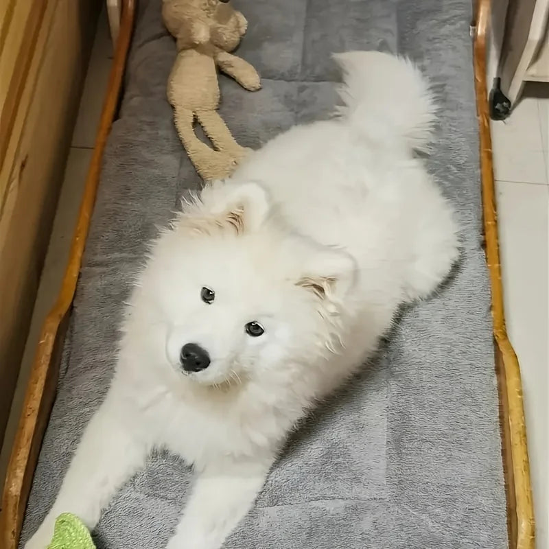 Oversized Plush Dog Cat Bed Sofa Crate Pad Ultra Soft Polyester Pet Mat for All Size Cats Dogs Adorable Rectangle Couch