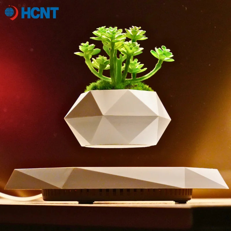 Levitating Planter for Bonsai Succulents Air Plants Floating Magnetic Display for Home