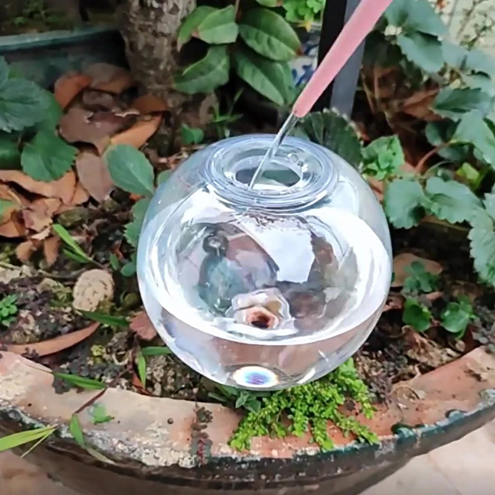 1-10PCS 500ML Self Watering Globes Drip Irrigation System Self Watering Planter Insert Plant Watering Globes for Daily Watering