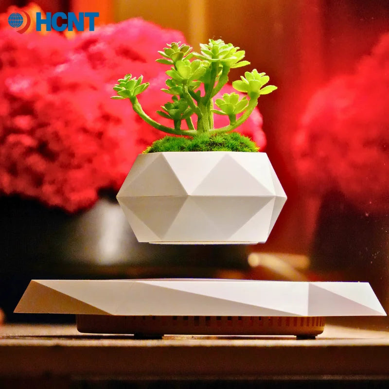 Levitating Planter for Bonsai Succulents Air Plants Floating Magnetic Display for Home