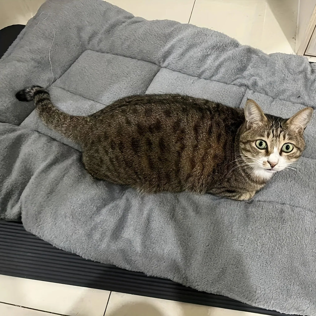 Oversized Plush Dog Cat Bed Sofa Crate Pad Ultra Soft Polyester Pet Mat for All Size Cats Dogs Adorable Rectangle Couch