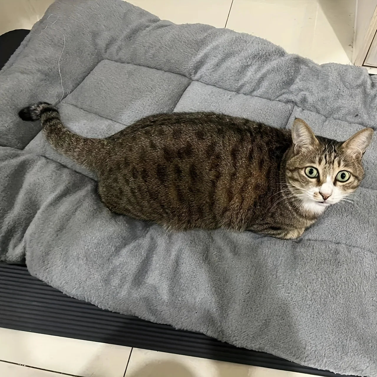 Oversized Plush Dog Cat Bed Sofa Crate Pad Ultra Soft Polyester Pet Mat for All Size Cats Dogs Adorable Rectangle Couch